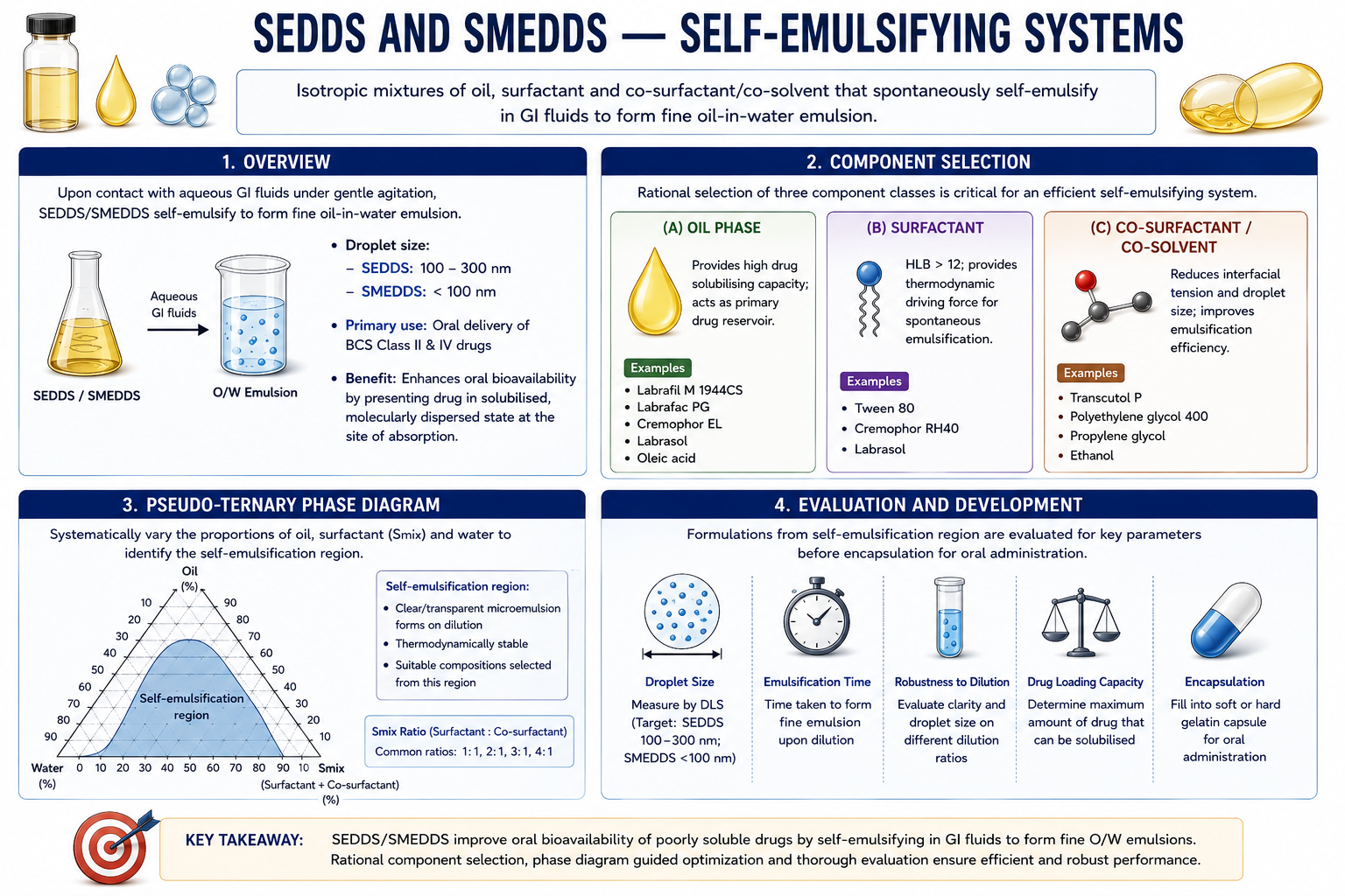 SEDDS and SMEDDS — Self-Emulsifying Systems