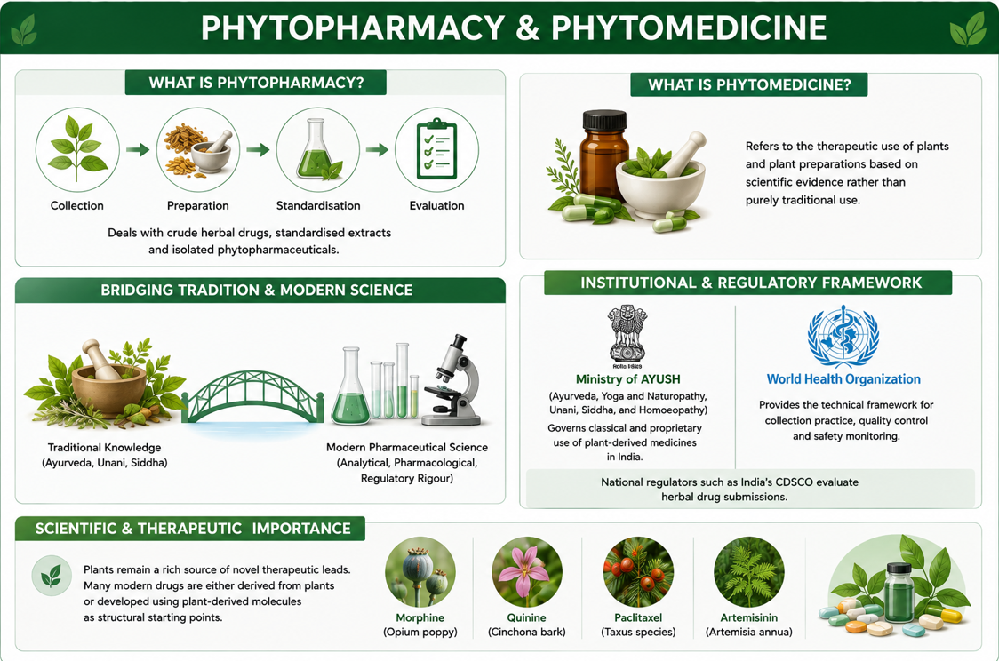 Phytopharmacy and Phytomedicine overview: what phytopharmacy deals with (collection, preparation, standardisation, evaluation), what phytomedicine refers to, the bridge between traditional knowledge and modern pharmaceutical science, the Ministry of AYUSH and WHO regulatory framework, and plant-derived drugs including morphine, quinine, paclitaxel, and artemisinin